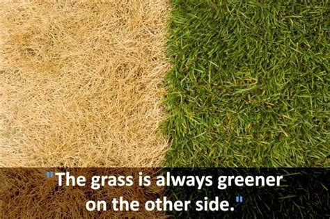 that grass looks greener|THE GRASS IS (ALWAYS) GREENER ON THE OTHER SIDE (phrase.